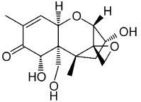 Deoxynivalenol (DON) molecular structure